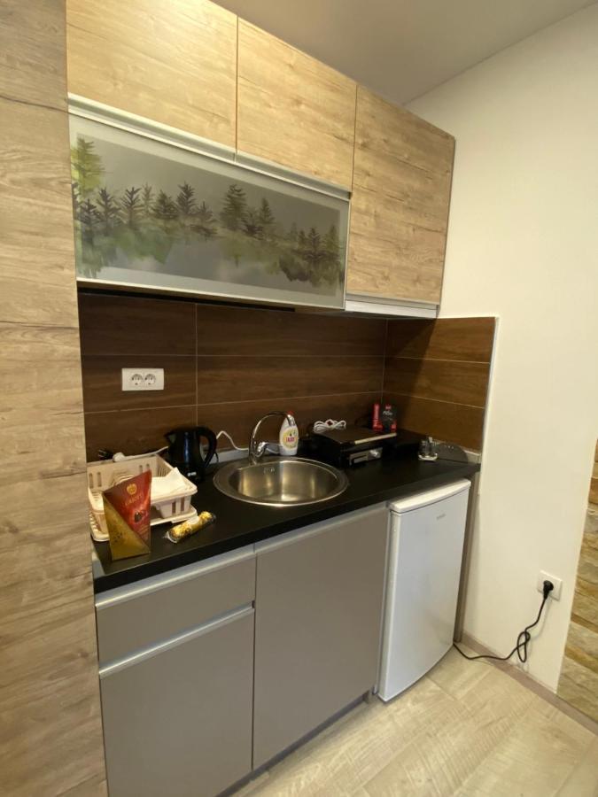 Kopaonik Apartmani Milmari - Katic Zewnętrze zdjęcie